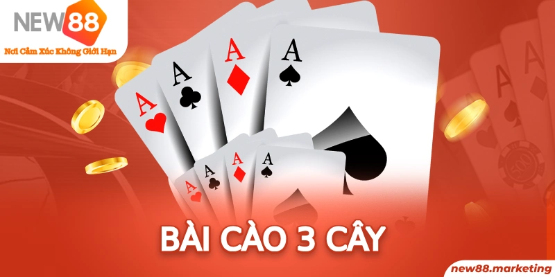 arne slot long bảo trong baccarat là gì