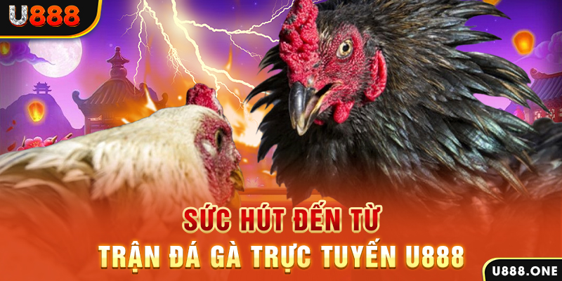arne slot đá gà trực tiếp c1