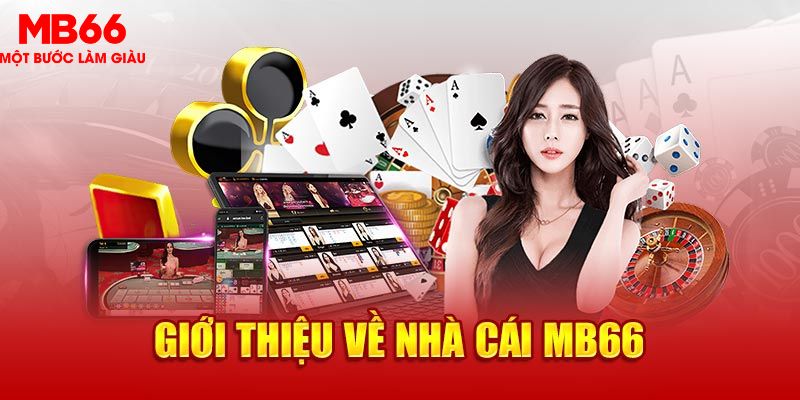 arne slot EVO Trực Tuyến