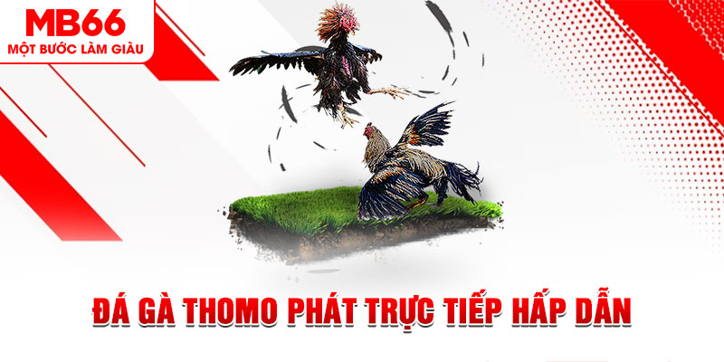 arne slot dự đoán xổ số miền trung