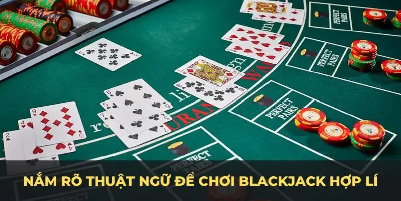 arne slot c1 gà chọi