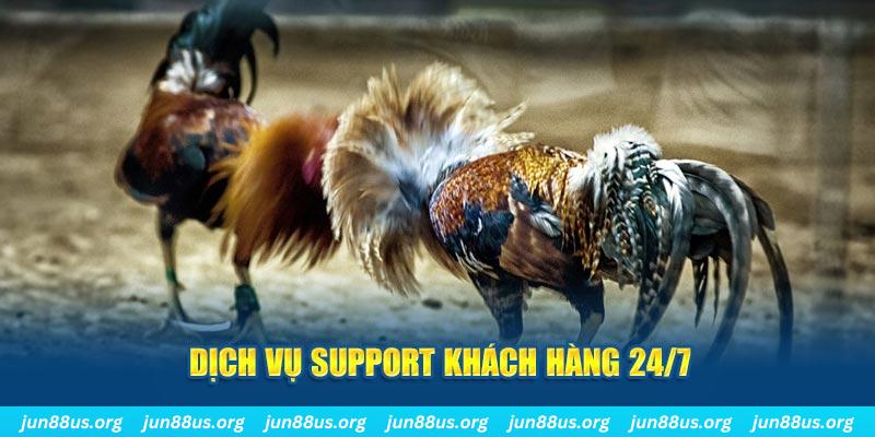 arne slot ÁT CHỦ BÀI GIÀNH LẤY ZHUANG NIUNIU ( XEM 4 LÁ )
