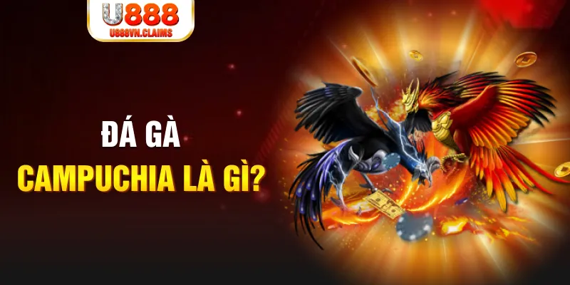 arne slot bắn cá vàng h5