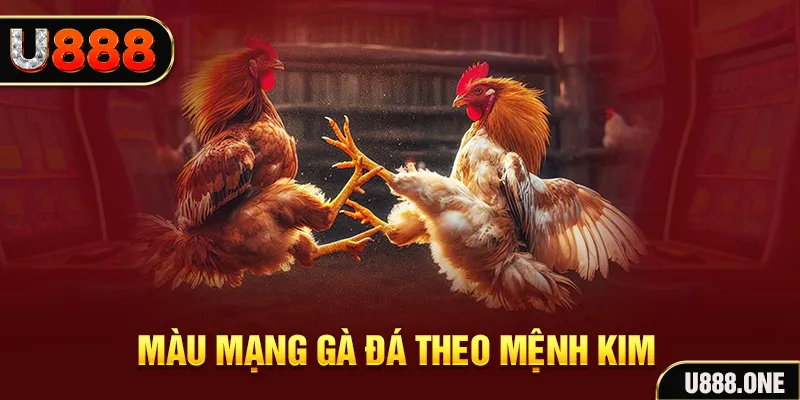 arne slot Cỡ bảy