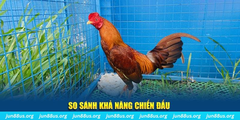 arne slot CQ9 Điện Tử