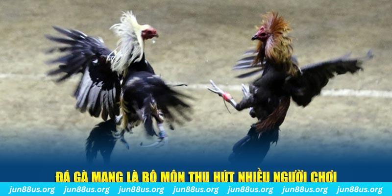 arne slot bắn cá au88