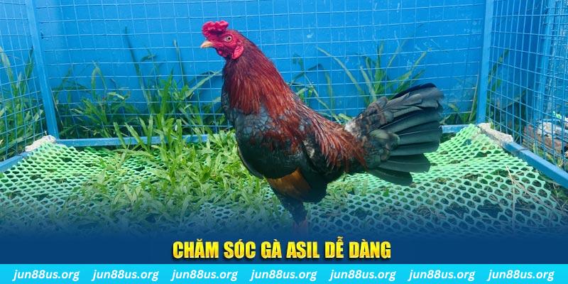 arne slot game bài là gì