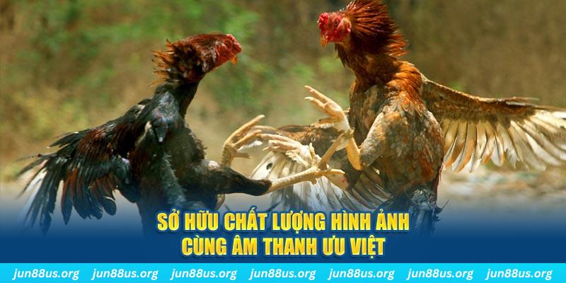 arne slot PP Điện Tử