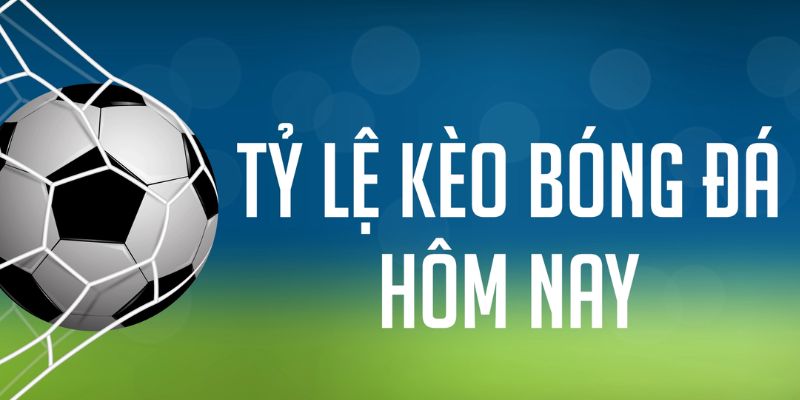 arne slot gà chọi c1 mới nhất