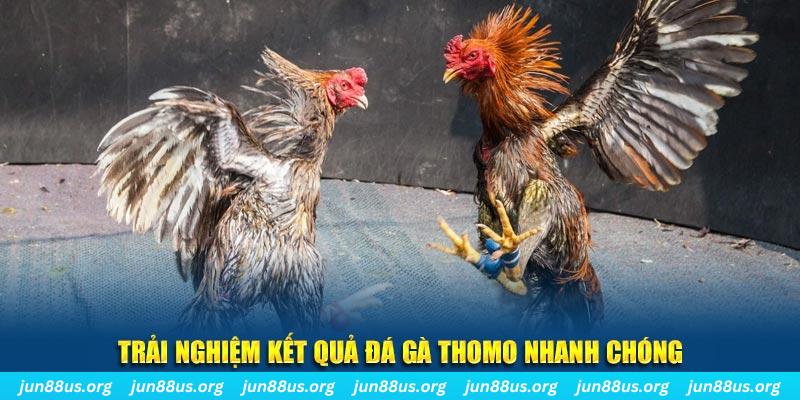 arne slot tai game bai b52 ve may tinh