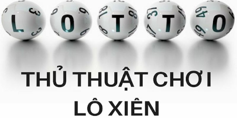 arne slot trực tiếp đá gà thomo