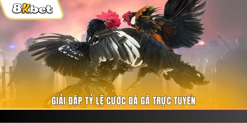 arne slot xổ số đài miền trung