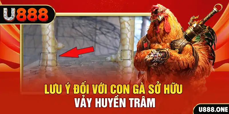 arne slot kết quả xổ số miền nam hôm nay