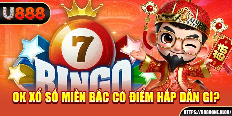 arne slot gà chọi c1 trực tiếp