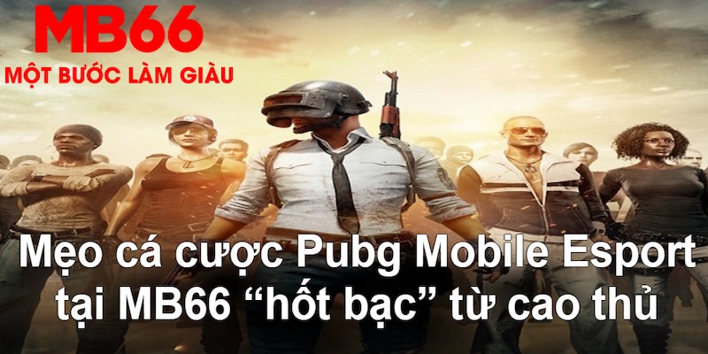 arne slot VA Bắn cá