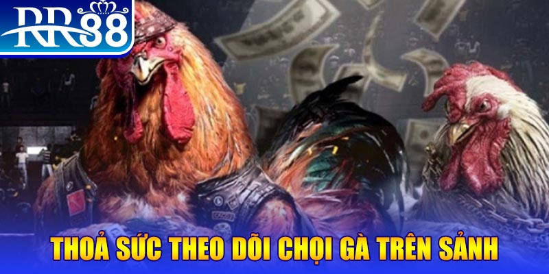 arne slot Bài Poker Joker