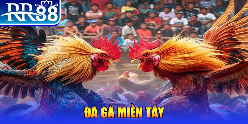 arne slot no hu doi thuong ai
