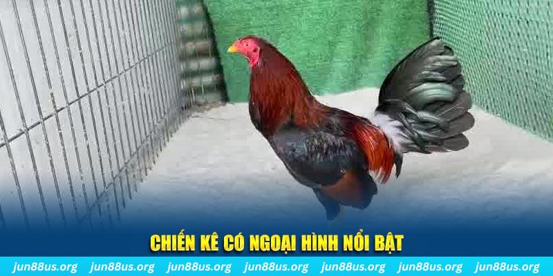 arne slot game nổ hũ là gì