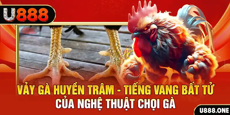 arne slot xổ số miền bắc ngày hôm nay