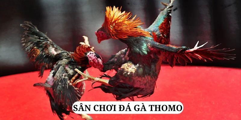 arne slot trực tiếp xổ số miền bắc